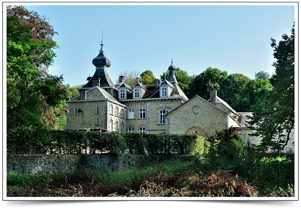 Kasteel van Libois